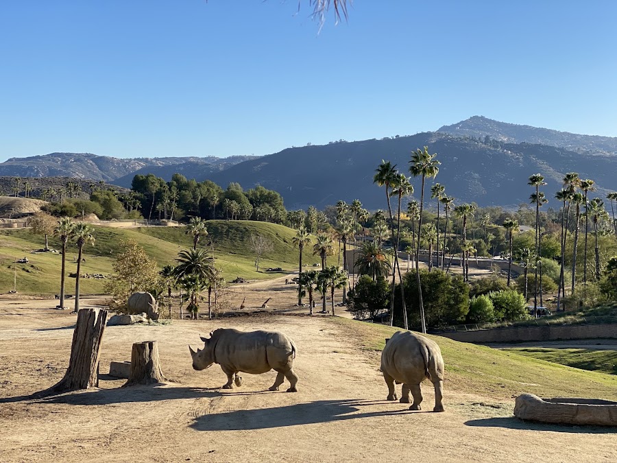 San Diego Zoo Safari Park photo 2