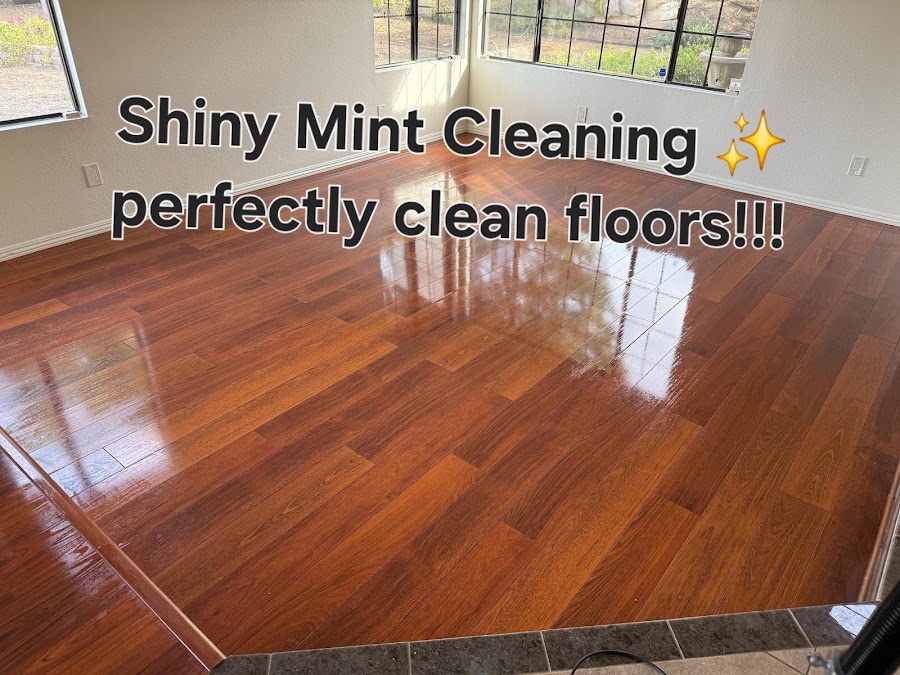 Shiny Mint Cleaning / House and Office Cleaning photo 4
